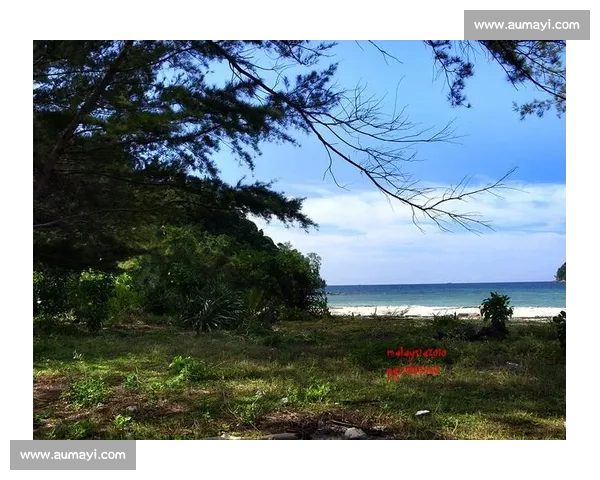 温哥华的呐喊，回响在世界的每一个角落！