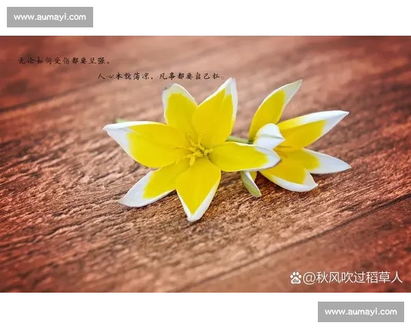 退役是终点,也是起点,Curse的抉择,预示着新的篇章